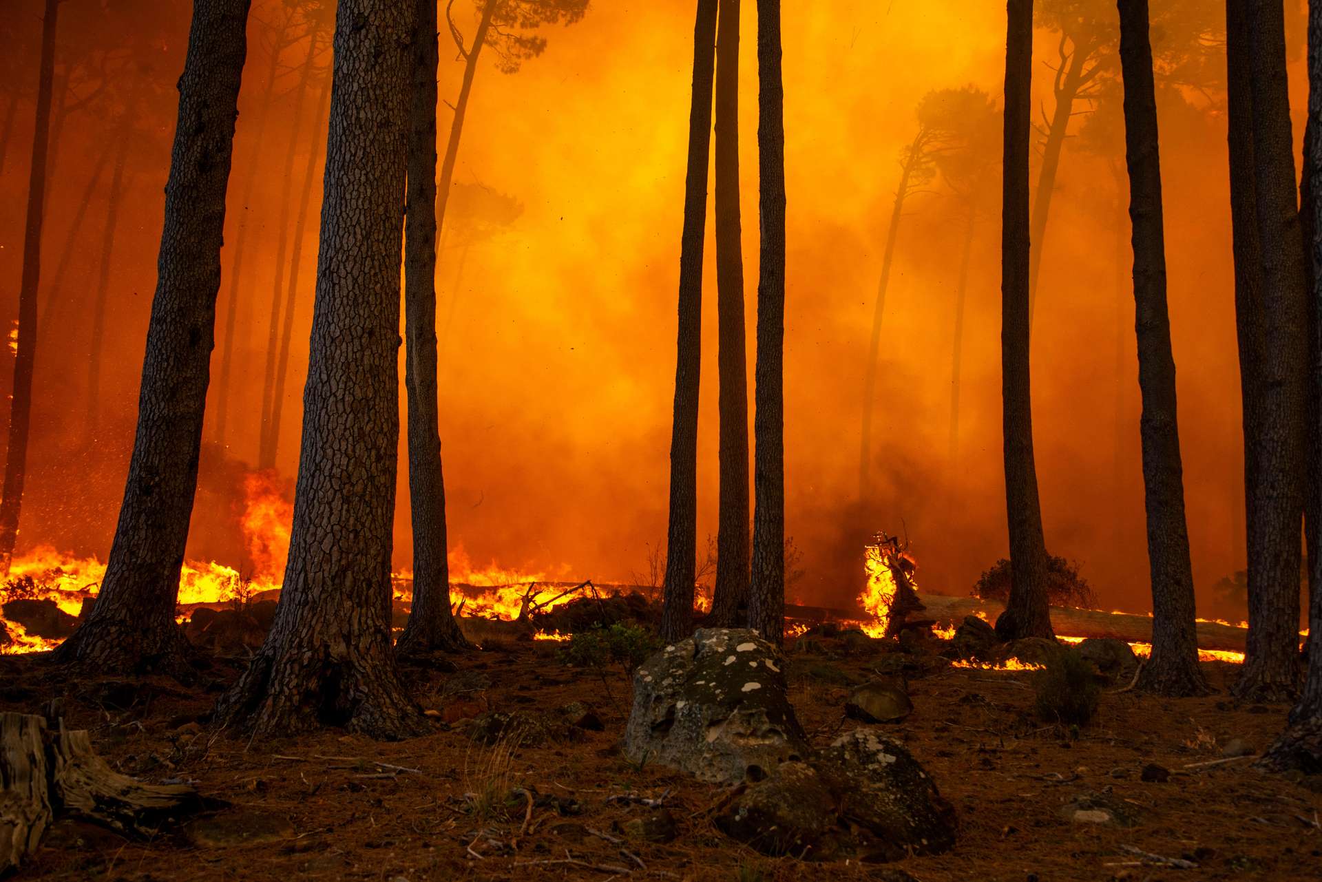 Que se passe-t-il au Chili où plusieurs centaines de personnes sont portées disparues dans les incendies ?
