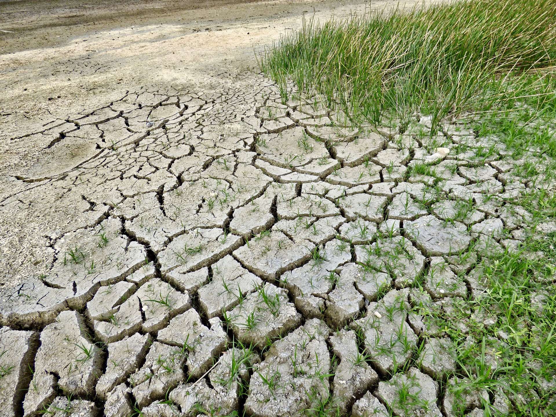 Les pluies intenses ont-elles mis fin à la sécheresse dans le sud ?