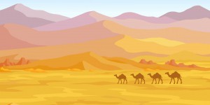 Comment les animaux font-ils pour survivre dans le désert ?