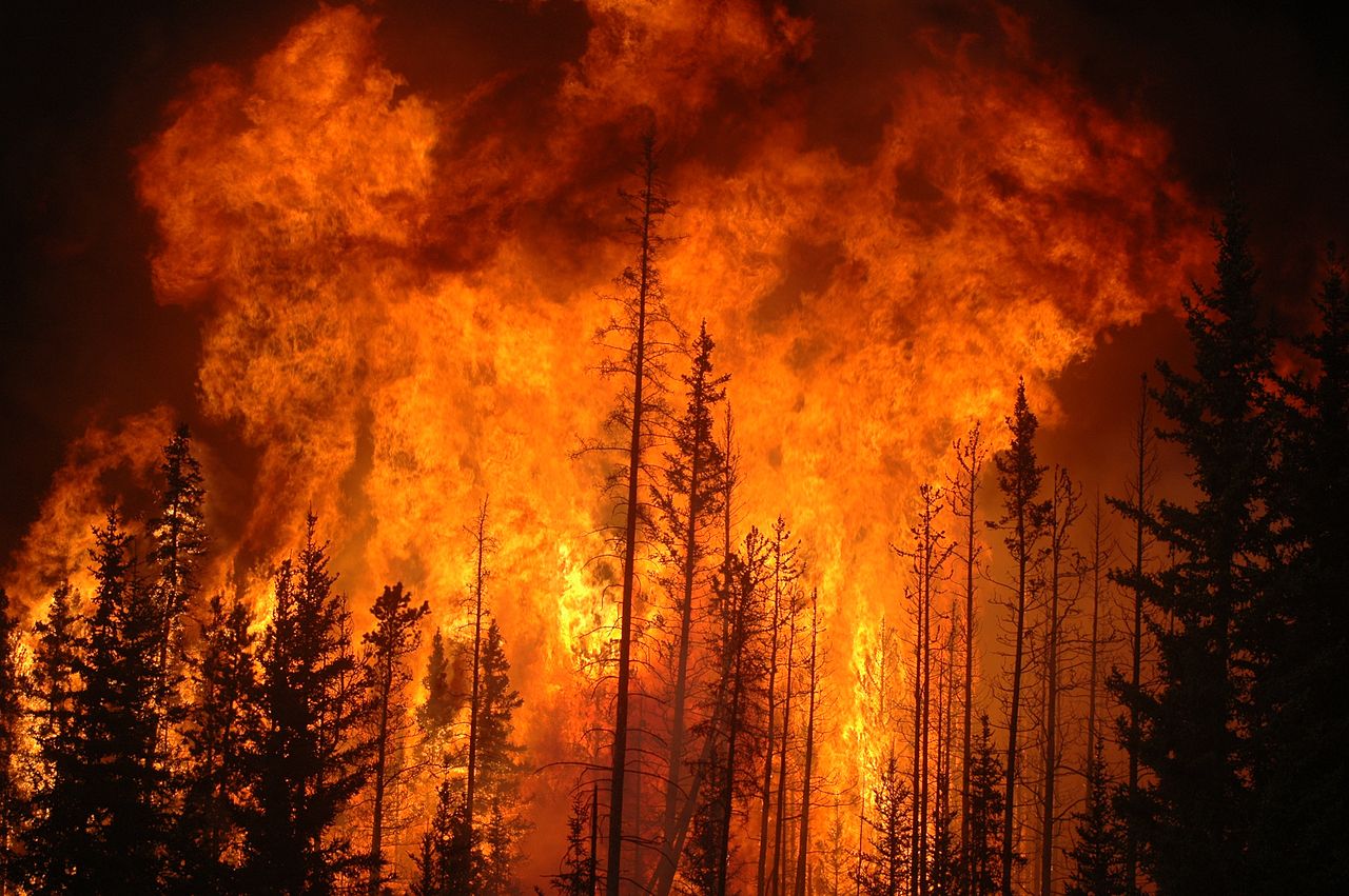 Pourquoi le réchauffement climatique rend les feux de forêt si extrêmes ?