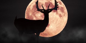 Super Lune du daim le 3 juillet : pourquoi est-elle « super » ?