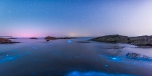 Est-il vrai qu’il existe des plages bioluminescentes ?
