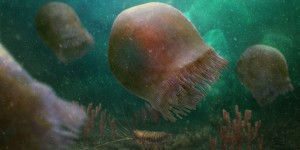 Ce fossile de méduse en forme de Pac-Man serait l’espèce la plus ancienne jamais connue