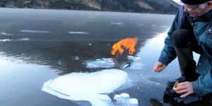 Pourquoi les lacs gelés peuvent-ils prendre feu ?