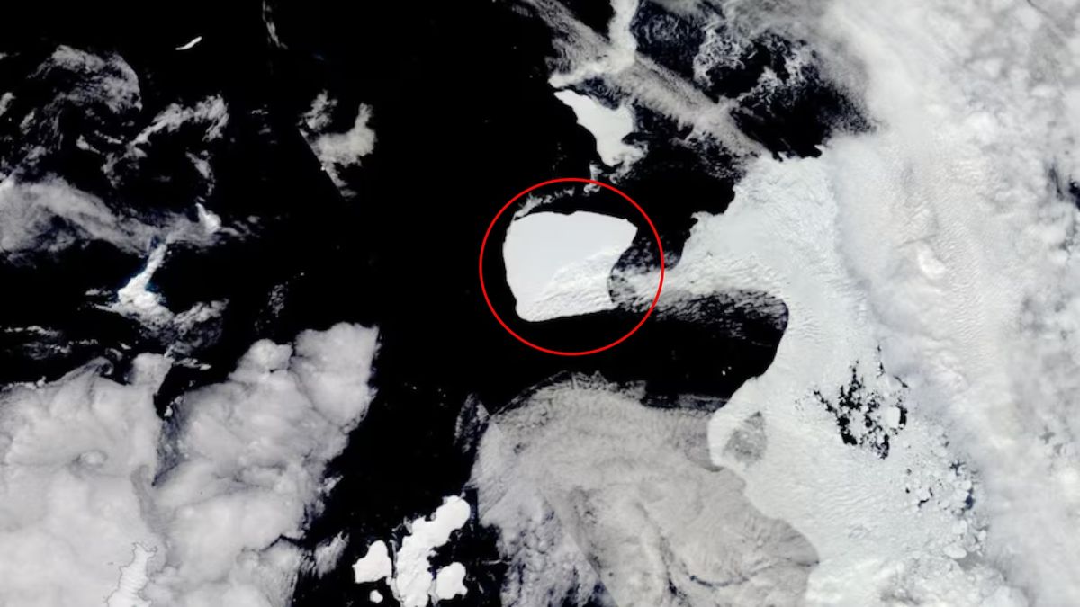 Le plus gros iceberg du monde s’échappe de l’Antarctique après avoir été piégé pendant près de 40 ans
