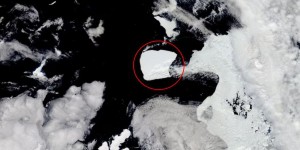 Le plus gros iceberg du monde s’échappe de l’Antarctique après avoir été piégé pendant près de 40 ans