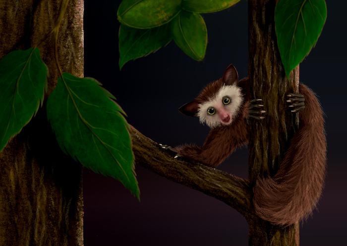 Quelle est l’histoire de l’Ekgmowechashala : le dernier primate, avant les humains, à avoir habité l’Amérique ?
