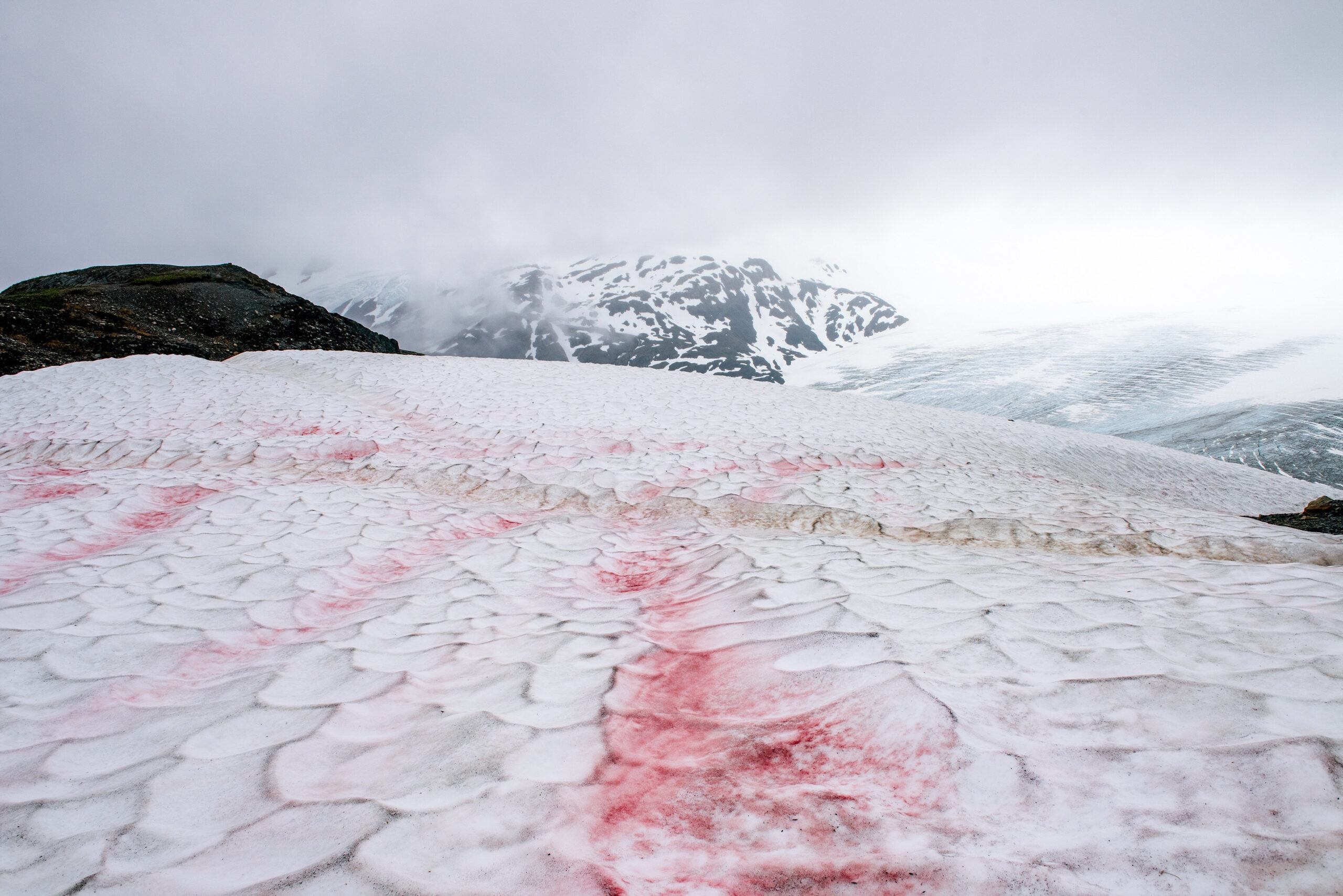 Le mystère du “sang des glaciers” enfin résolu