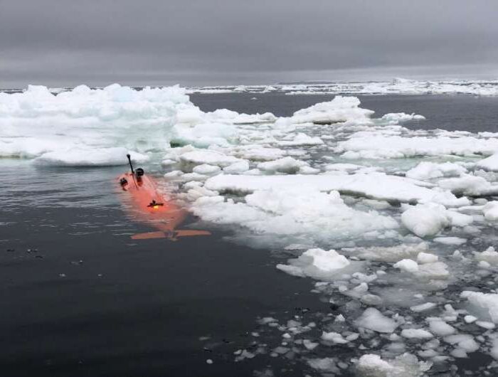 Le véhicule sous-marin « Ran » a disparu sous un glacier en Antarctique