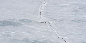 Effondrement des calottes glaciaires en Antarctique : une fissure colossale de 10,5 km s’est formée à une vitesse record de 128 km/h