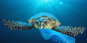 Une nouvelle méthode pour localiser les déchets en mer