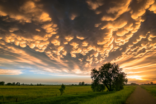 Phénomène céleste : décryptage des mammatus, ces nuages extraordinaires d’une curieuse allure