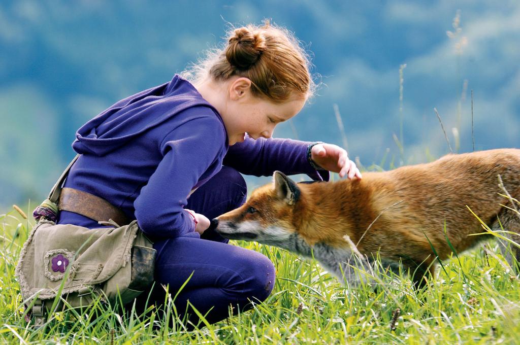 Le renard aurait-il été un animal de compagnie pour l’Homme tout comme le chien ? Cette sépulture vieille de 1 500 ans le prouve, selon une étude