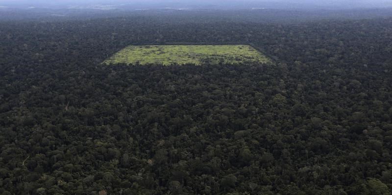 Déforestation: la technologie à la rescousse de l'Amazonie