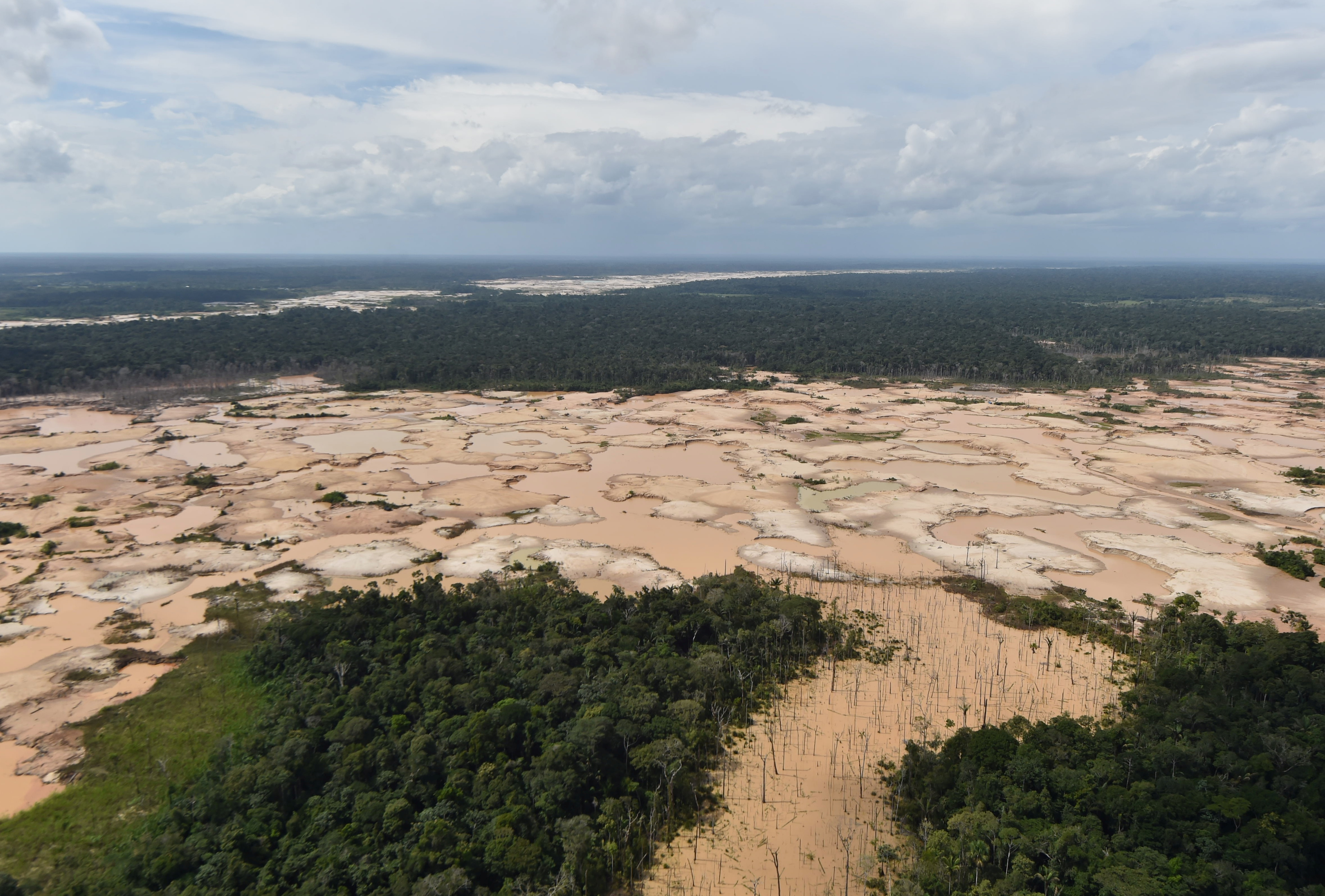 Climat : la déforestation s’emballe en Amazonie