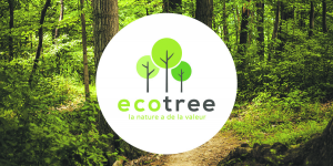 EcoTree lève 3 millions d’euros pour faire croître ses forêts