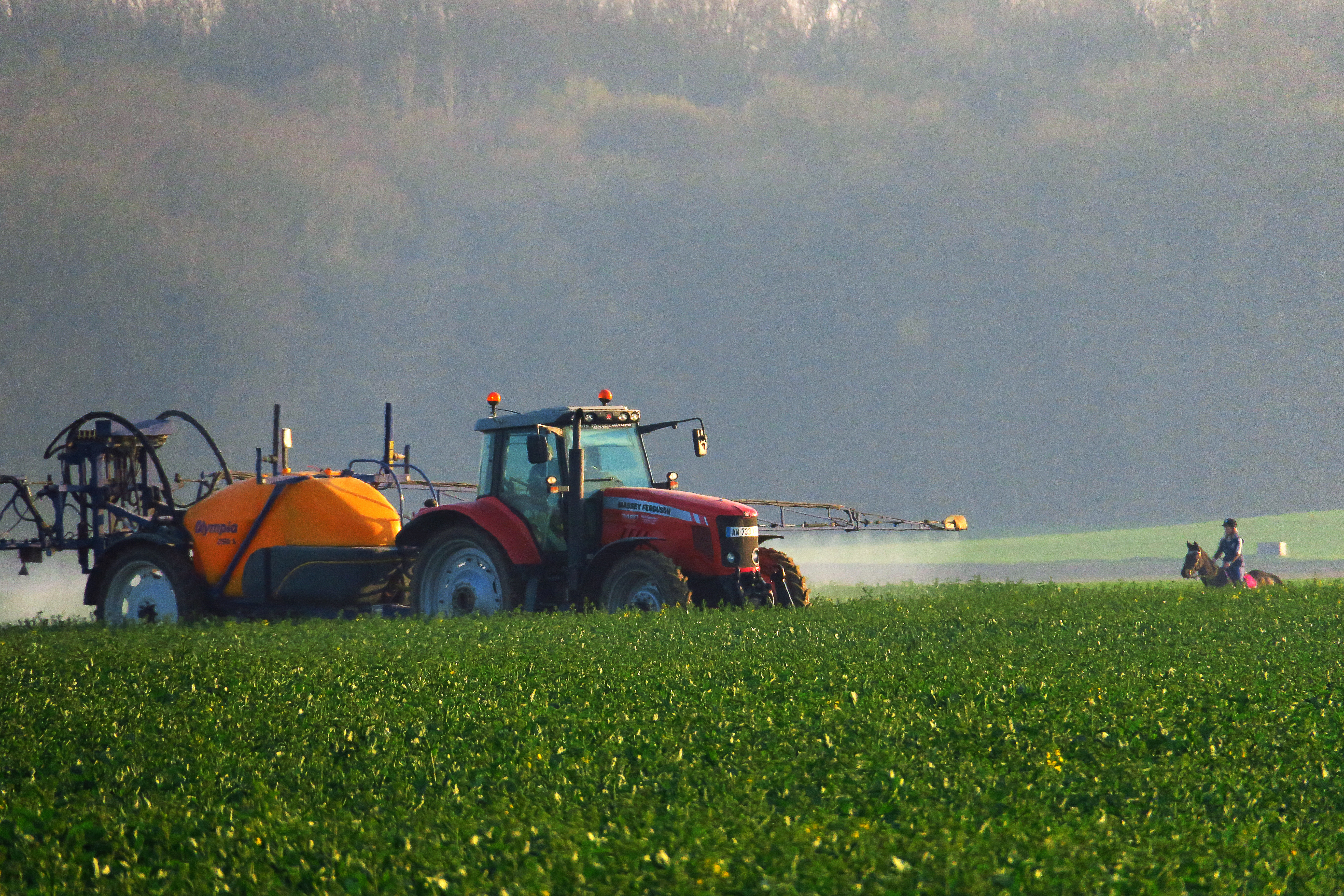 Renouveler les générations d'agriculteurs, un défi pour nourrir l'Europe