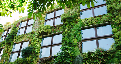 Construire le futur zéro carbone avec les bâtiments tertiaires et l’habitat