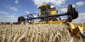 PAC : Le monde agricole s'écharpe sur les éco-régimes