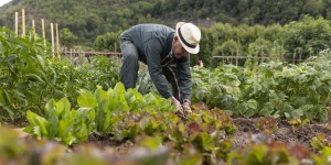 Transitions : Grenoble fera germer une Sécurité sociale de l’alimentation d’ici l’automne