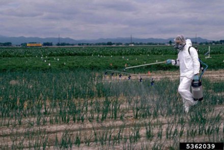 Pesticides : le pollué finit toujours par payer