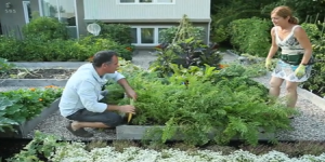 Comment un couple québécois a troqué sa pelouse pour un immense potager 
