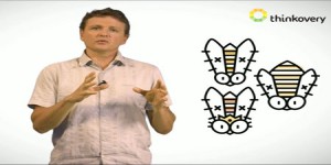 Comment vit une ruche d'abeilles domestiques