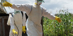 L'épidémie d'Ebola, fruit de la déforestation et de la guerre