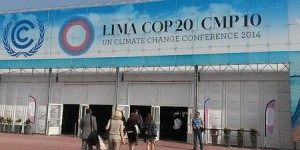 COP de Lima : « Entre le diagnostic scientifique et le chemin à emprunter, il y une zone où le débat ne se fait pas bien » 