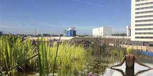Londres ouvre une piscine publique sans traitements chimiques