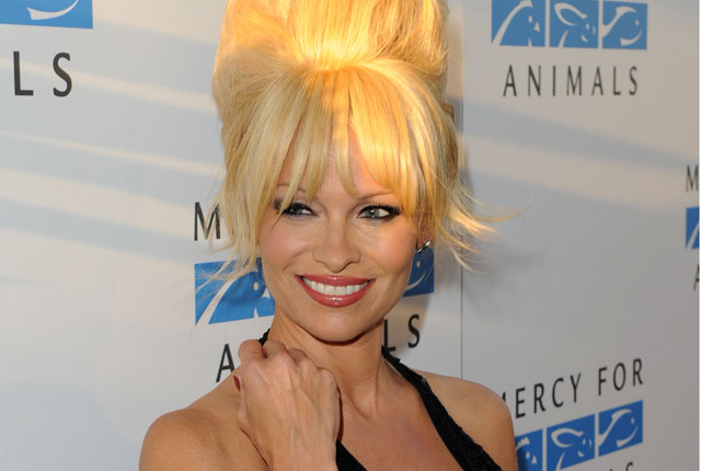 Pamela Anderson, les canards et les médias