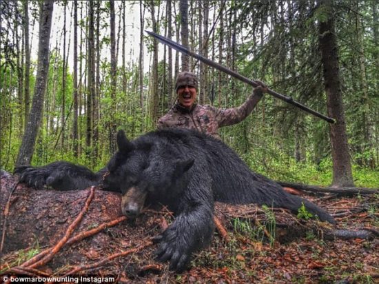 Un chasseur tue un ours avec une lance, la vidéo choque le Canada