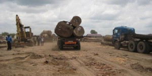 République Démocratique du Congo : à la recherche du bois illégal