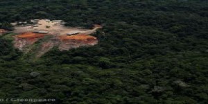 Déforestation en Amazonie : le gouvernement brésilien doit agir