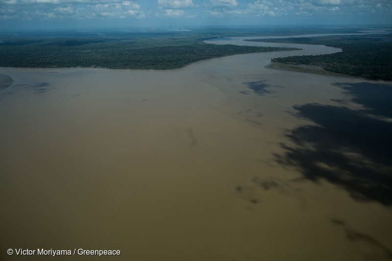 Le récif de l’Amazone : un trésor à peine découvert et déjà menacé
