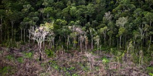 Quand le Brésil recule sur la protection de la forêt amazonienne