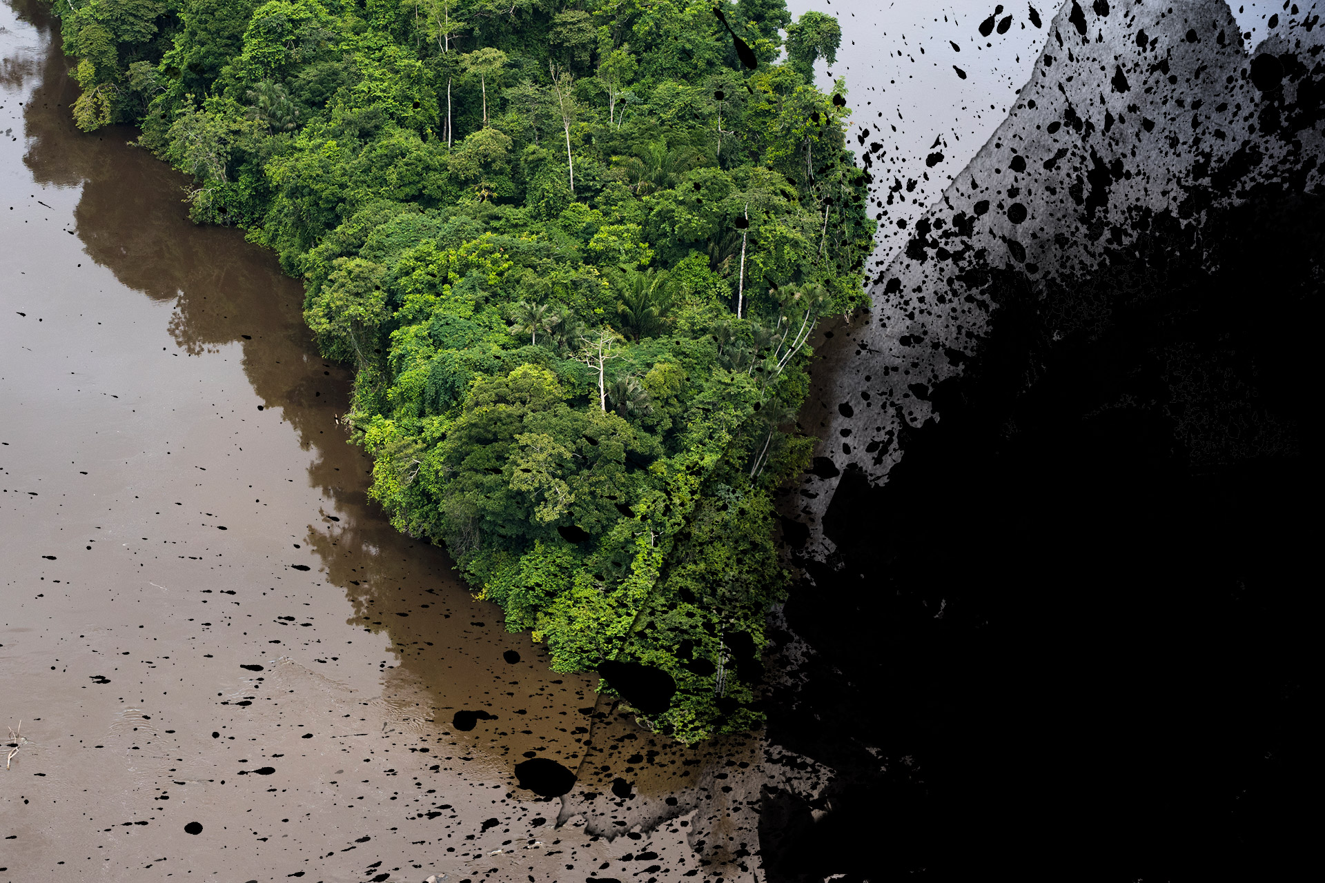 Mobilisation nationale pour le Récif de l’Amazone
