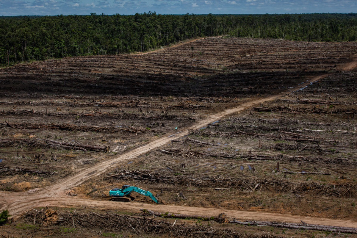Consultation en cours sur la déforestation importée : mobilisons-nous !