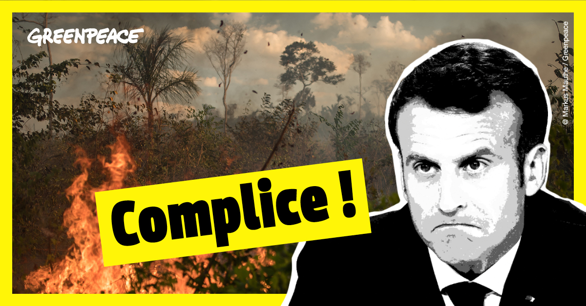 Amazonie : des actions partout en France