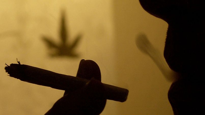 Un tribunal autorise le cannabis thérapeutique
