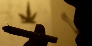 Un tribunal autorise le cannabis thérapeutique