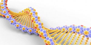 ADN, des scientifiques inventent un nouveau code génétique