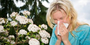 Allergie aux pollens : les heures critiques