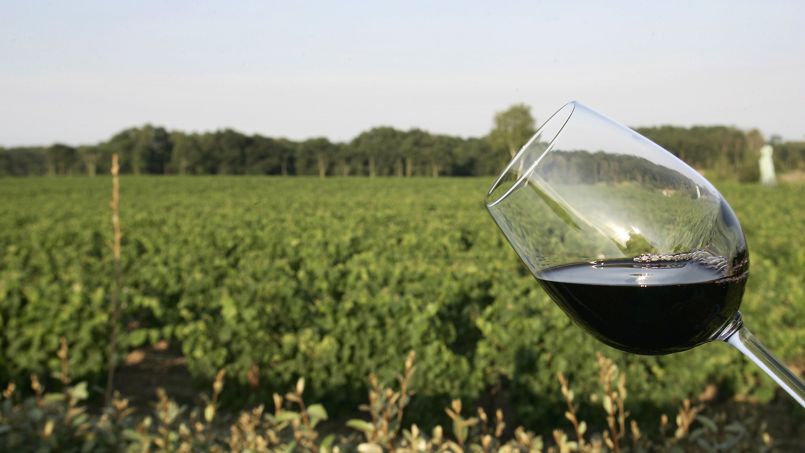 Le resvératrol du vin rouge sans effet sur la santé