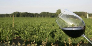 Vin rouge : les bienfaits du resvératrol mis en doute
