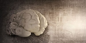 L'imagerie du cerveau pour prévoir des comportements