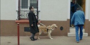 Les chiens d'aveugles encore à la porte des lieux publics