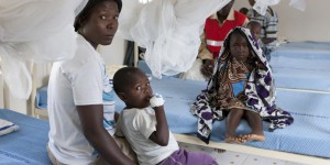 Paludisme: les inquiétantes résistances aux insecticides et aux médicaments