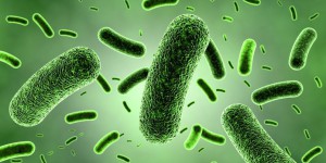 Le top 50 des microbes les plus répandus et dangereux