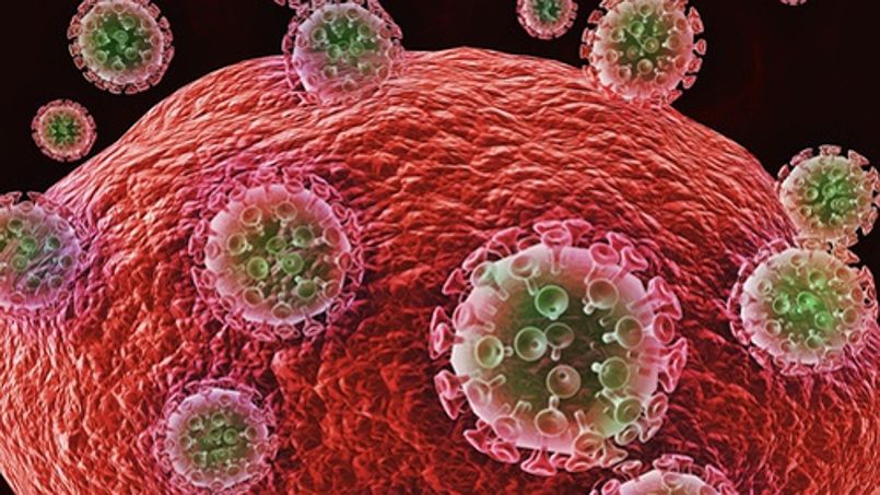 Sida: l'OMS veut placer, sans attendre, les personnes infestées sous antirétroviraux